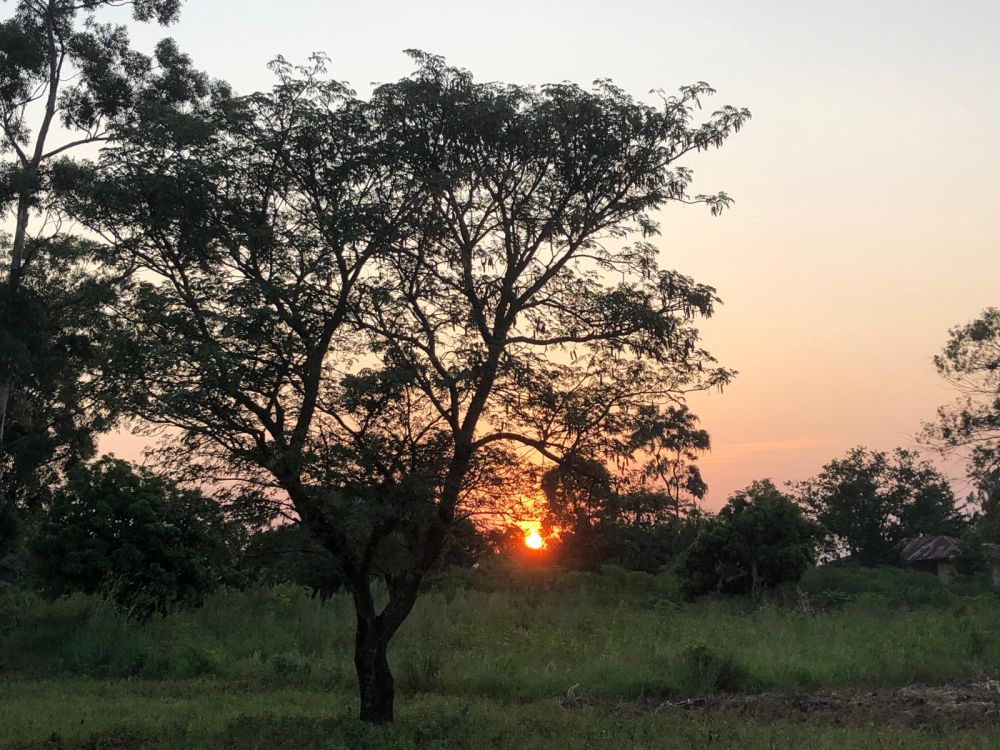 FBB Projekt in Uganda
