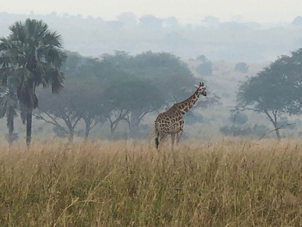 FBB Projekt in Uganda