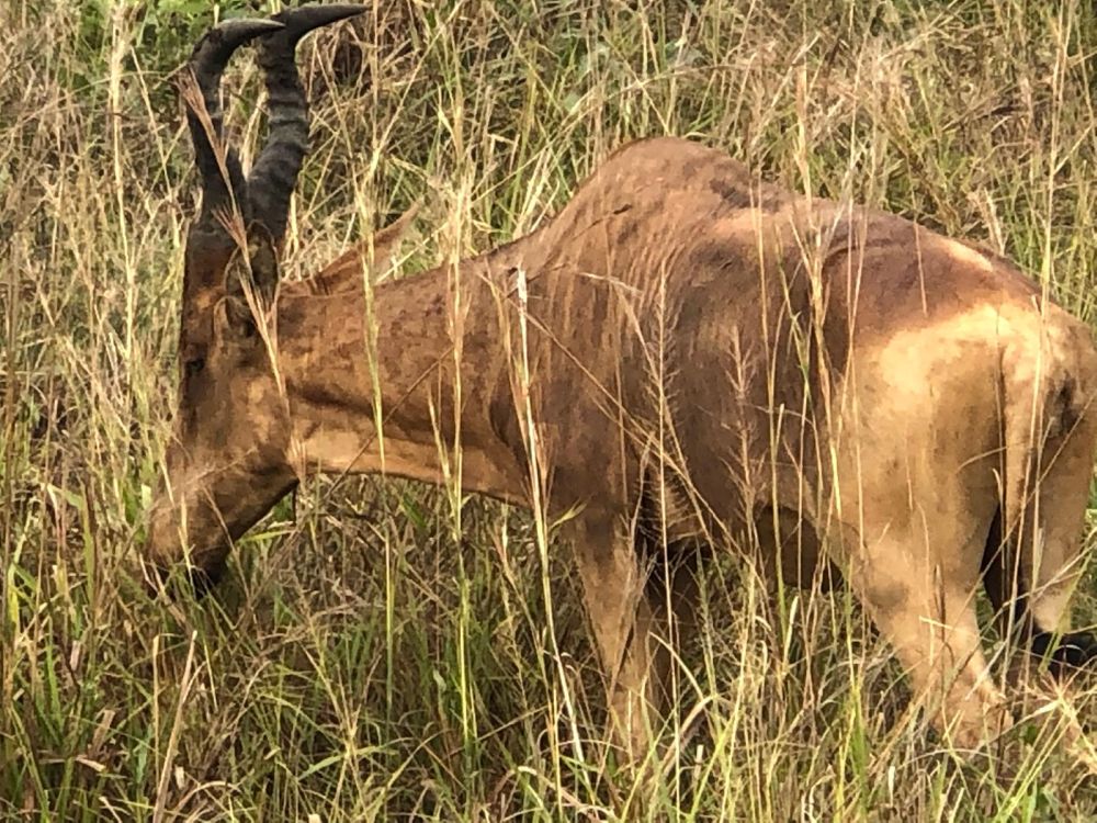 FBB Projekt in Uganda